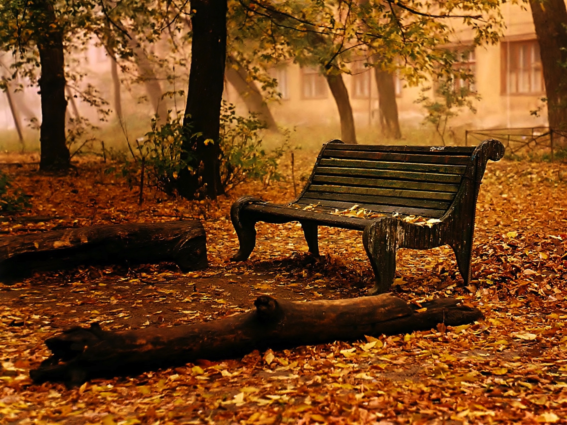 A peaceful bench in a Man Made setting called Come, sit with me.