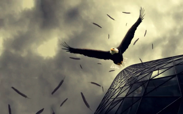 A majestic bald eagle soars against a stormy sky, its wings spread wide, with feathers gracefully swirling around. The image serves as an HD desktop wallpaper backdrop.