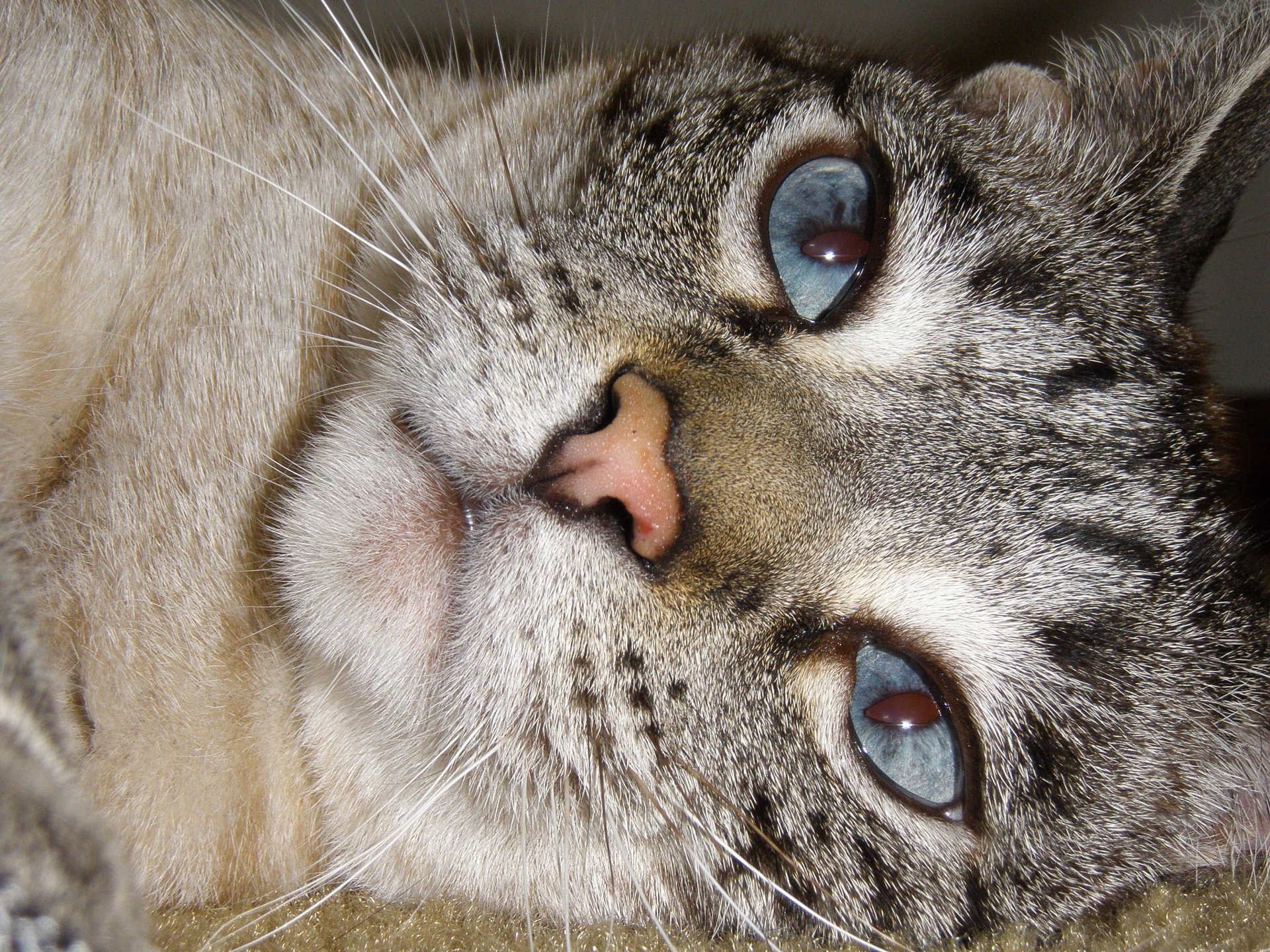 Lost In Thought by DumbBlonde