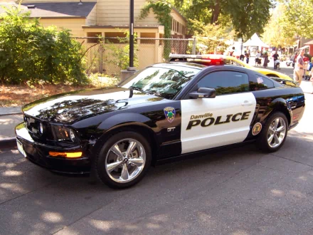 HD PC desktop wallpaper of a black-and-white police vehicle parked on a sunlit street, marked POLICE with rooftop lights.