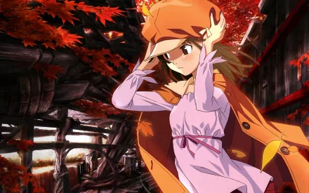 Nadeko Sengoku Bakemonogatari Anime Monogatari (Series) HD Desktop Wallpaper | Background Image