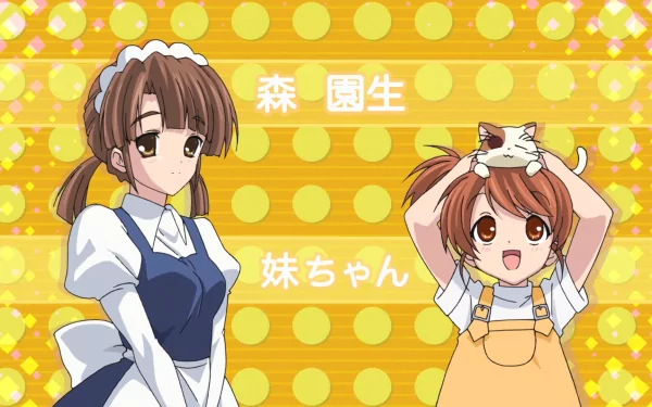 Shamisen (Haruhi) Kyon's Sister (Haruhi) Anime The Melancholy of Haruhi Suzumiya HD Desktop Wallpaper | Background Image