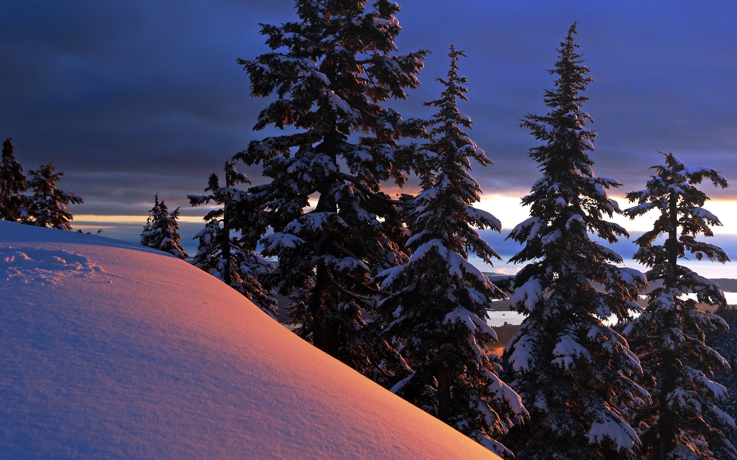 Winter HD Wallpaper | Hintergrund | 2560x1600 | ID:150775 - Wallpaper Abyss