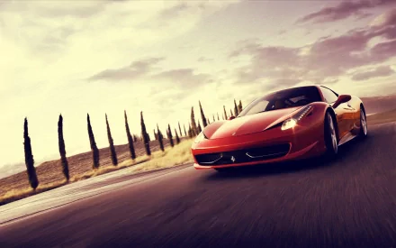 A striking Ferrari 458 races down a scenic road lined with tall cypress trees, showcasing its sleek design in this HD desktop wallpaper.