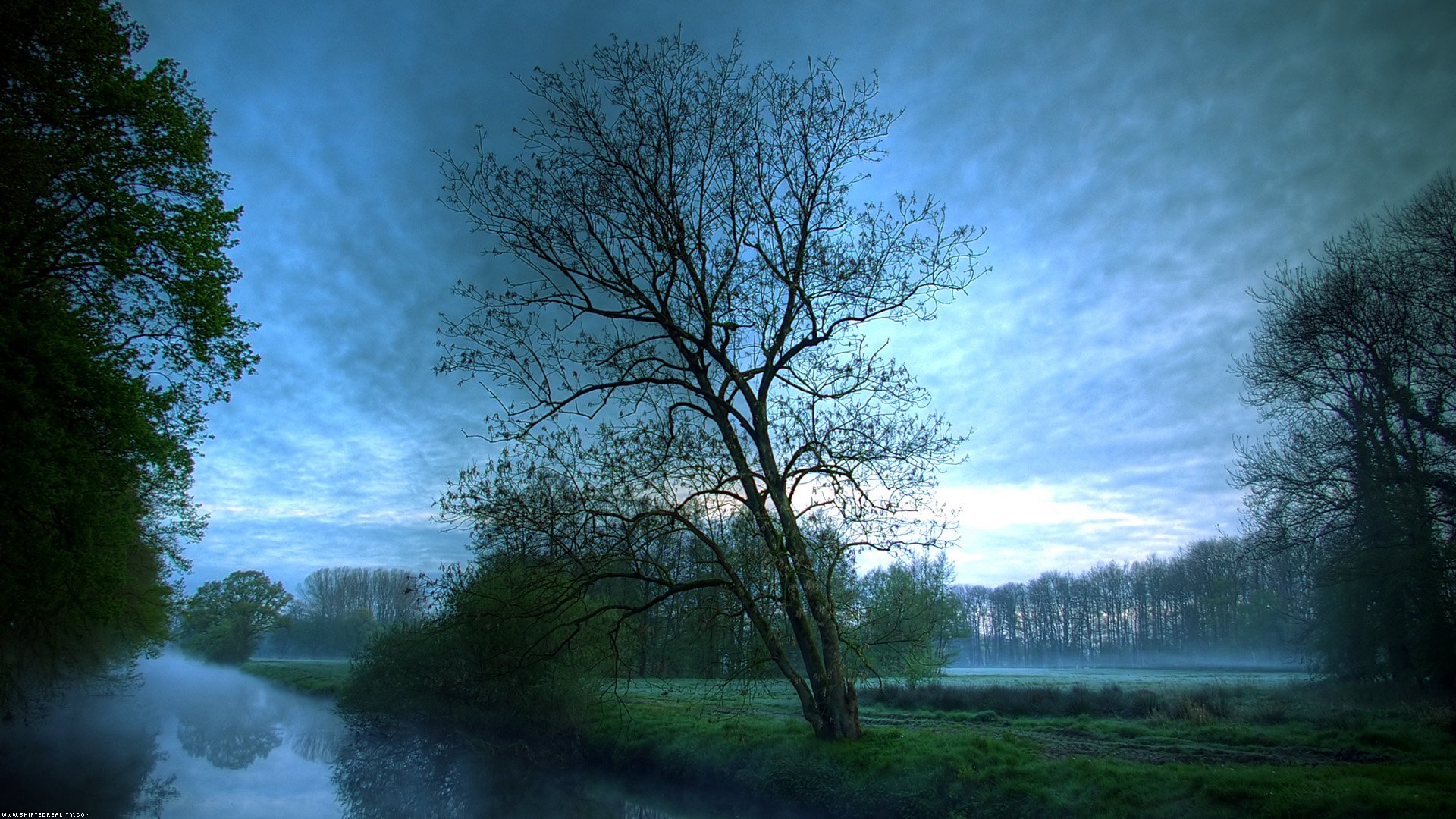 HD desktop wallpaper showcasing a tranquil green field with a tree by a stream at sunrise, featuring fog, clouds, and a serene natural landscape under a blue sky.