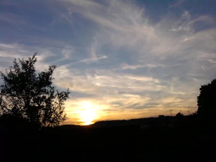HD PC desktop wallpaper of nature sky at sunset: golden sun dipping below the horizon, wispy clouds streaking across a blue-gray sky and silhouetted trees in the foreground.