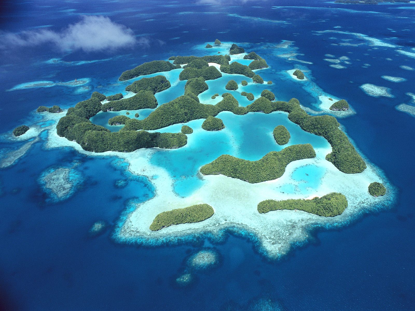 A scenic island surrounded by the tranquil sea in nature's embrace.