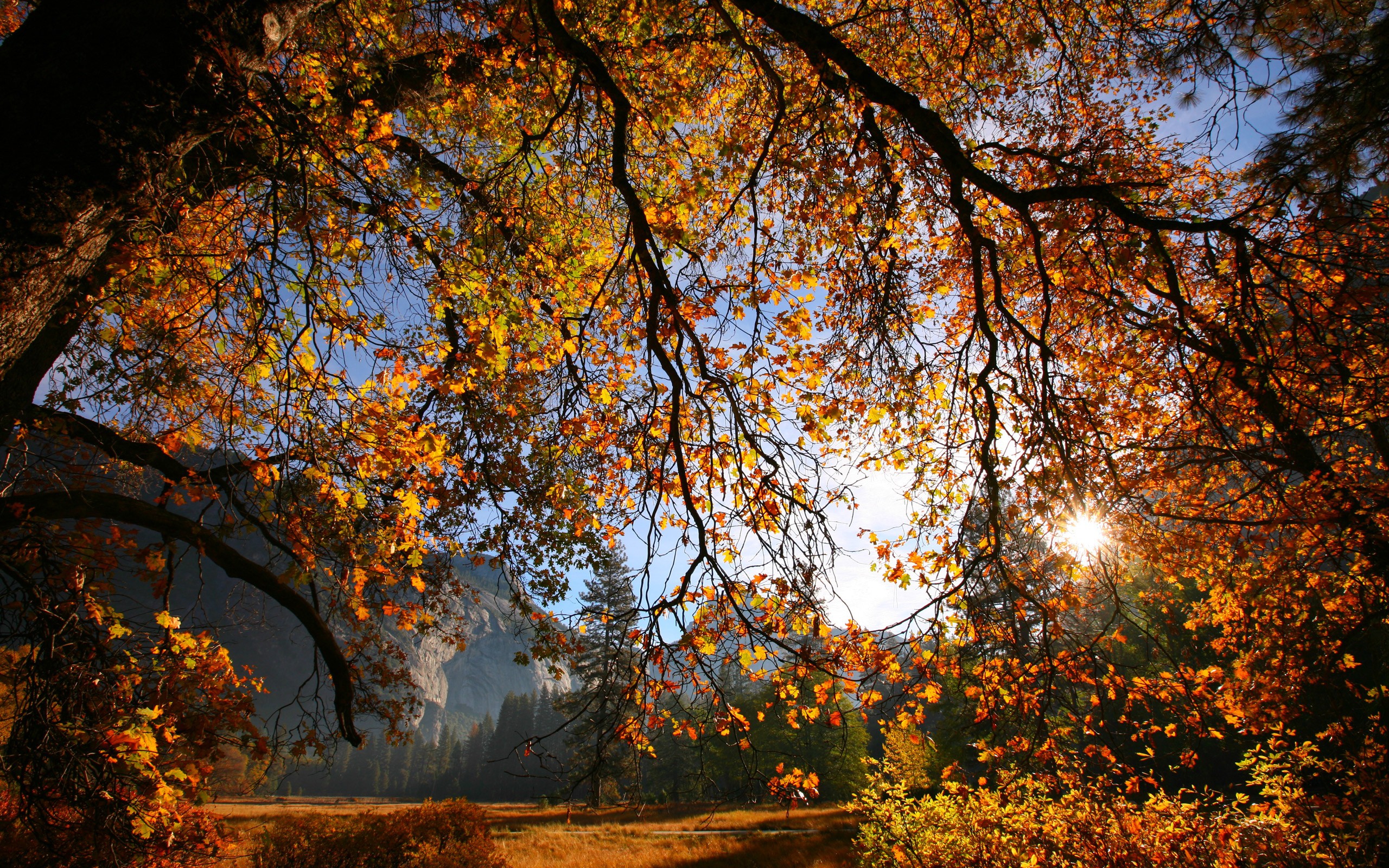 Scenic autumn landscape: Vibrant fall foliage and natural beauty.