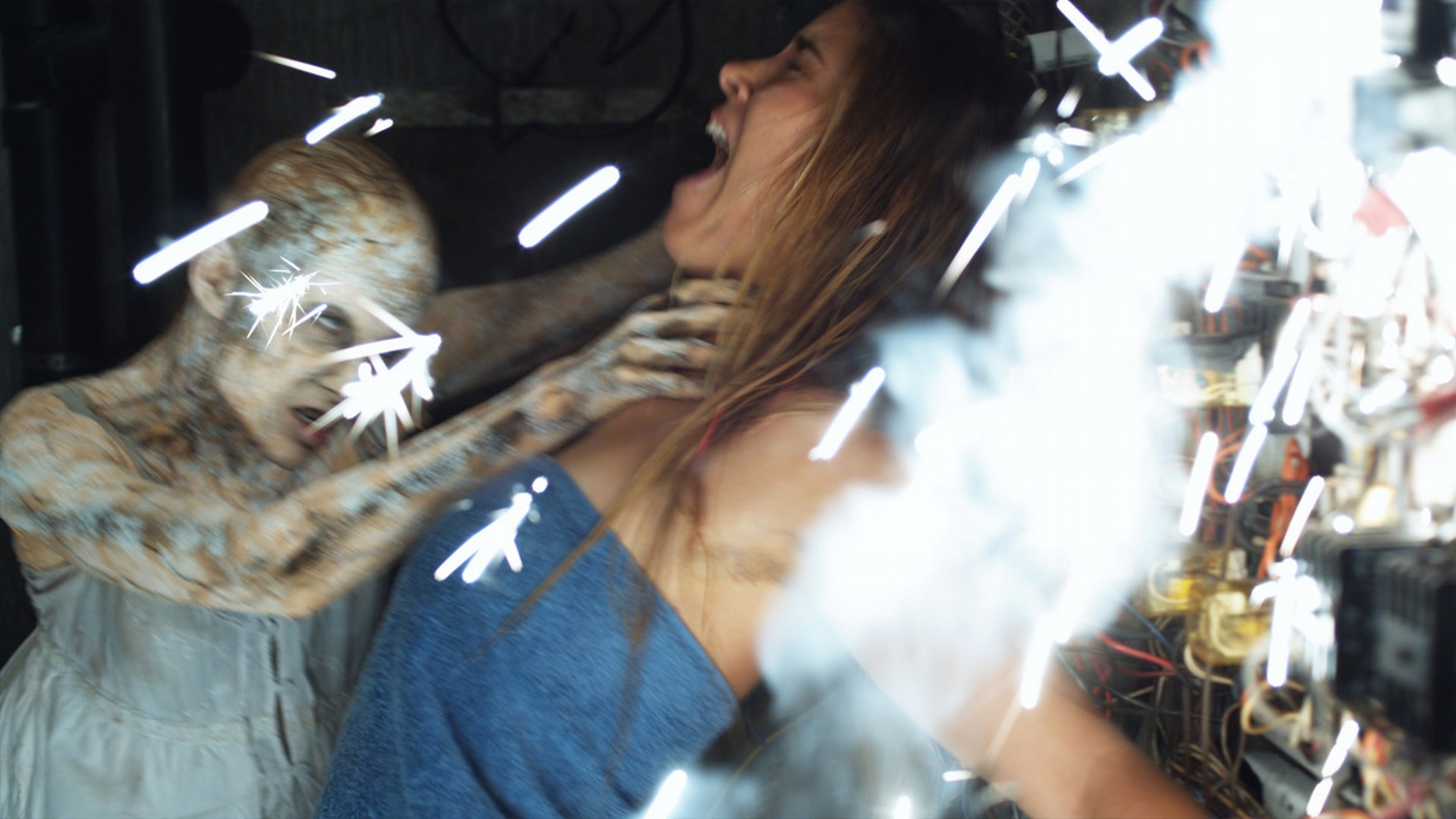 Download Movie Forget-me-not HD Wallpaper