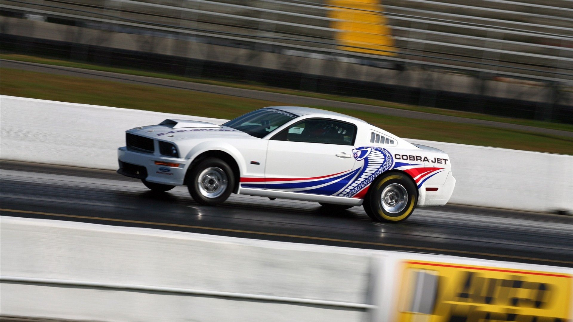 Download Vehicle Ford Mustang FR500CJ Cobra Jet HD Wallpaper