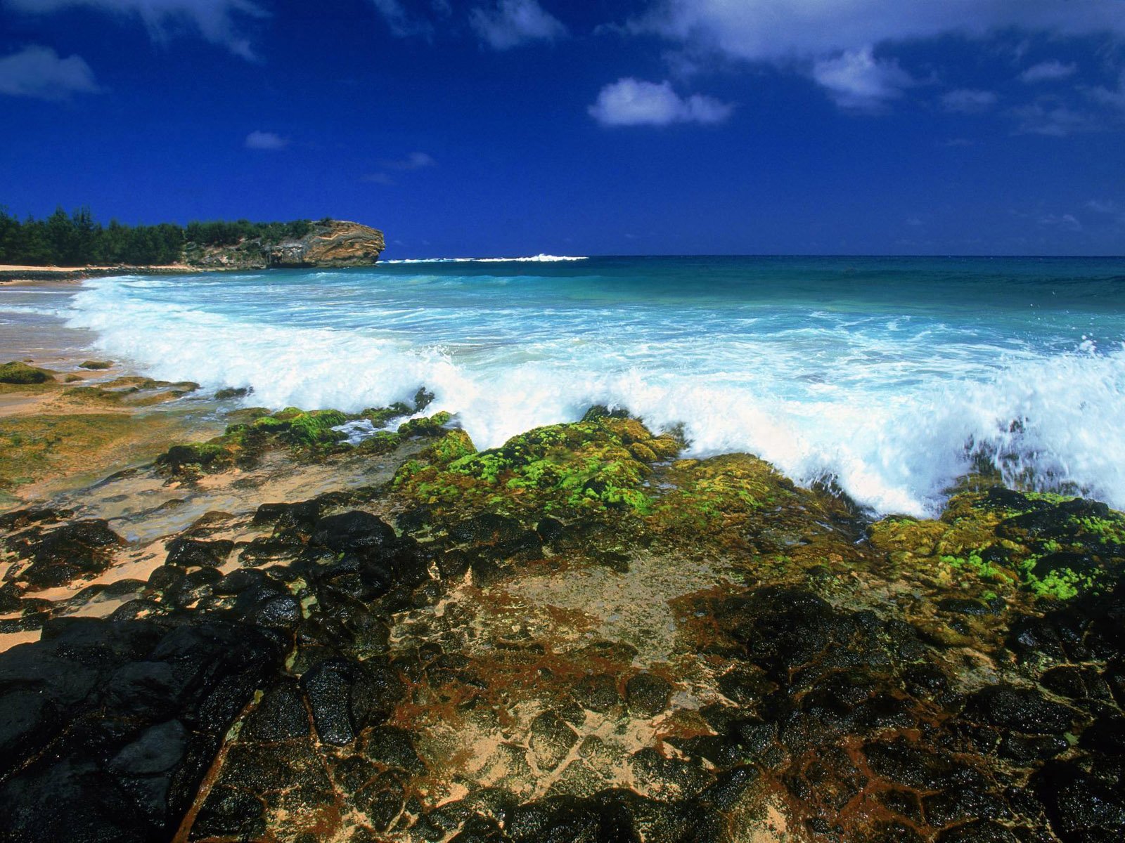 Vibrant ocean waves crash over rocky shores adorned with green algae, capturing the beauty of nature at the beach in this stunning HD desktop wallpaper.