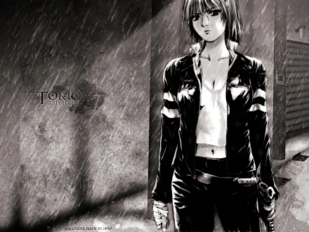 Anime Tokko HD Desktop Wallpaper | Background Image