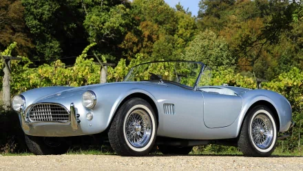 vehicle cobra HD Desktop Wallpaper | Background Image