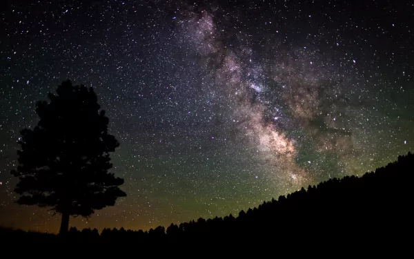  The Milky Way II