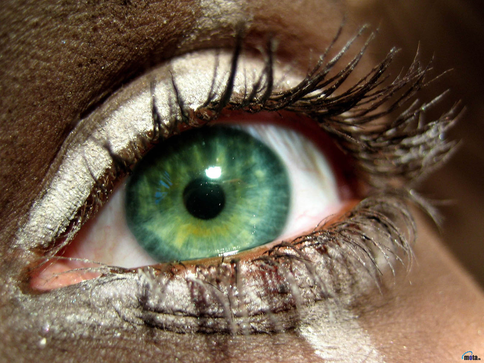 Close-up of captivating green eyes on a vibrant desktop wallpaper.