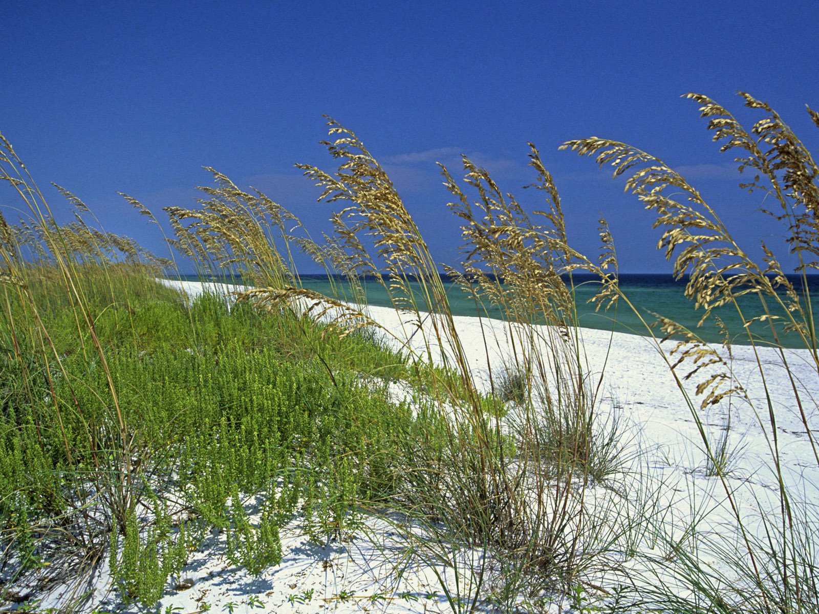 Serene Ocean Breeze: Inspiring HD Wallpaper of Nature's Beach