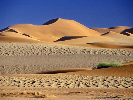 A serene desert landscape featuring golden sand dunes under a clear blue sky, showcasing the beauty of nature in a high-definition wallpaper format.