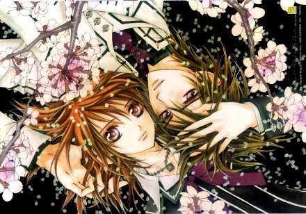 A captivating HD desktop wallpaper featuring characters from the anime Vampire Knight, surrounded by delicate cherry blossoms against a dark backdrop.