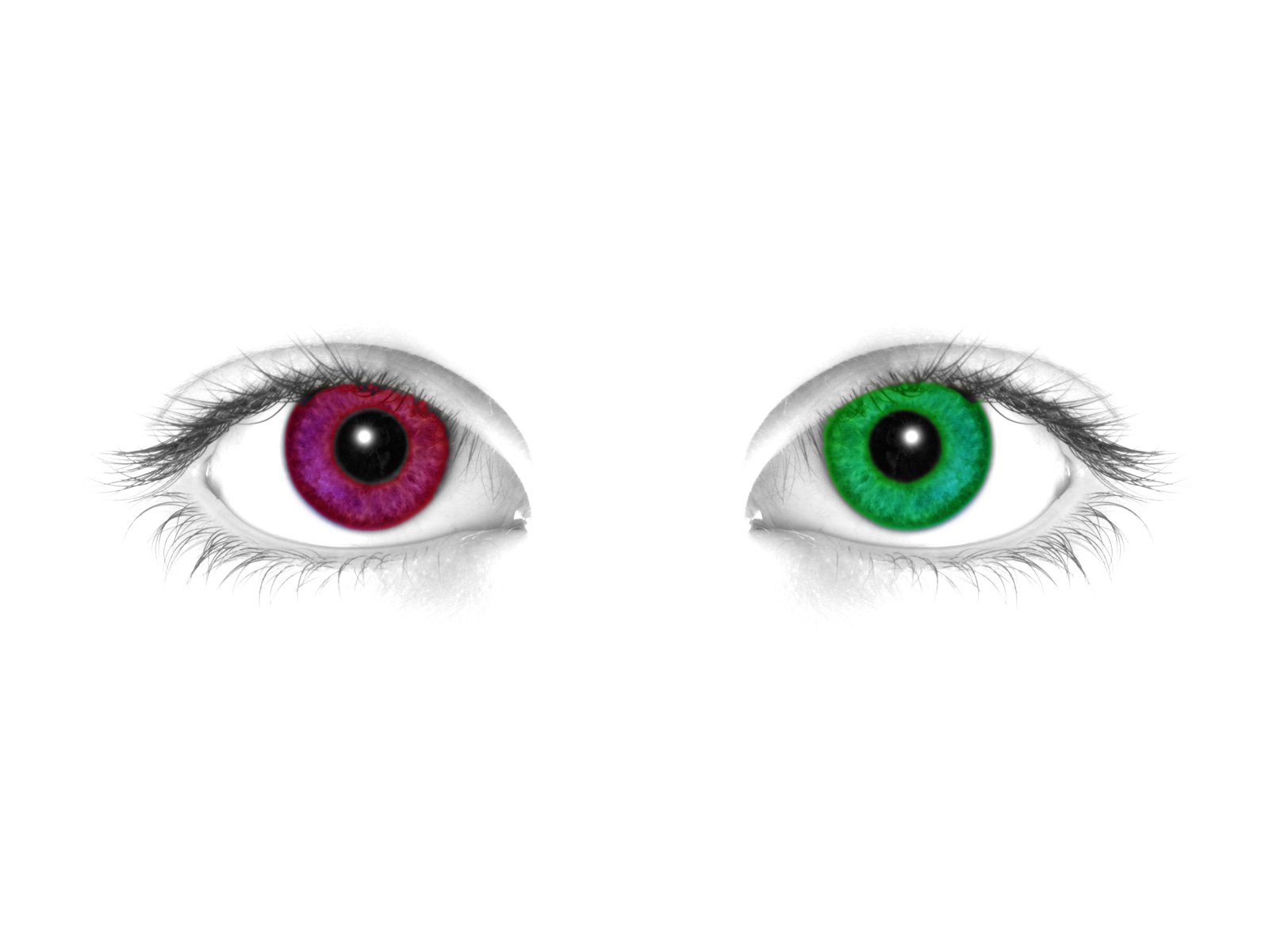 Heterochromia desktop wallpaper with high definition resolution.