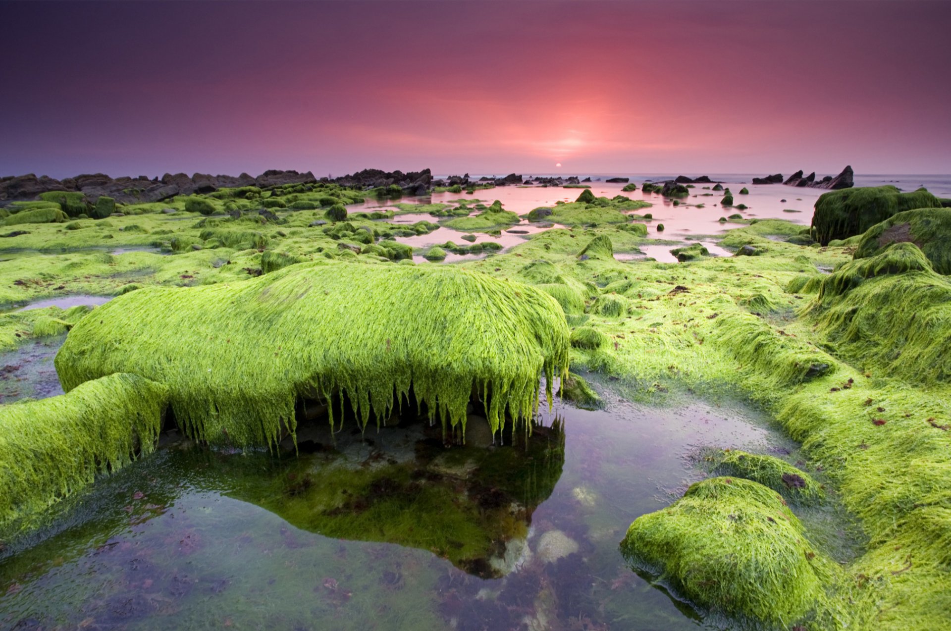 Download Nature Seascape HD Wallpaper