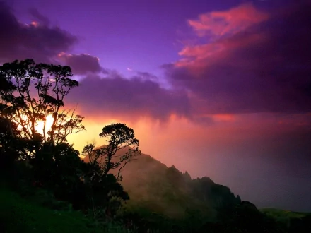 HD nature desktop wallpaper showcasing a vibrant sky at sunset with silhouetted trees and misty hills.