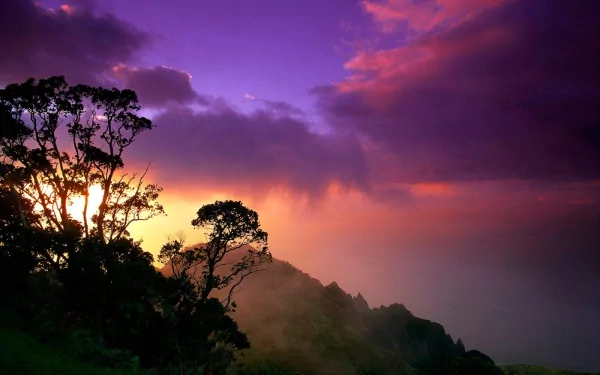 HD nature desktop wallpaper showcasing a vibrant sky at sunset with silhouetted trees and misty hills.