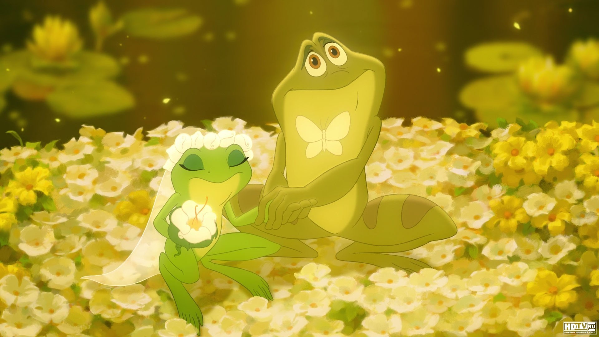 The Princess and the Frog desktop wallpaper for movie lovers.