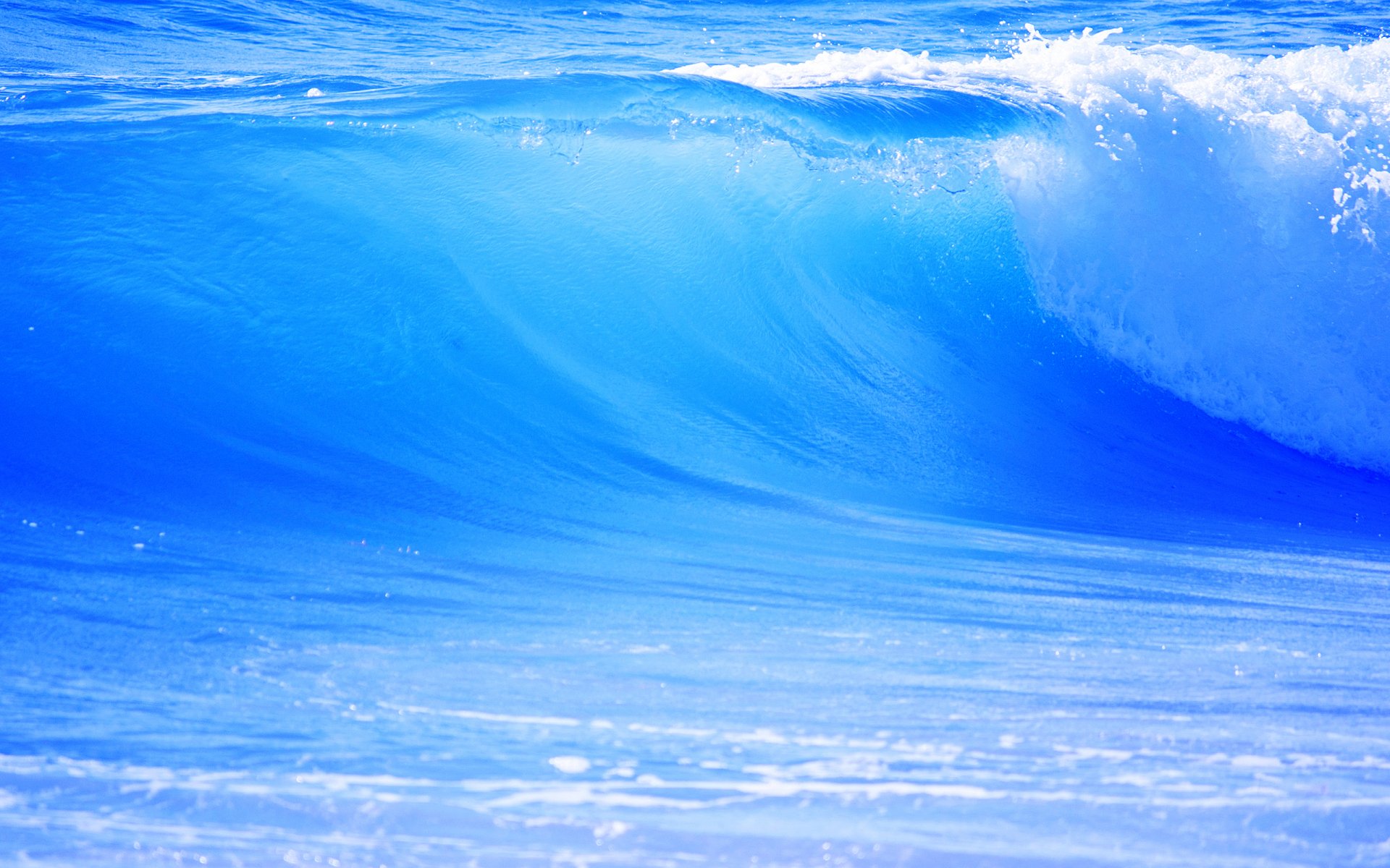 Wave Full Hd Wallpaper And Background Image 2560x1600 Id156369