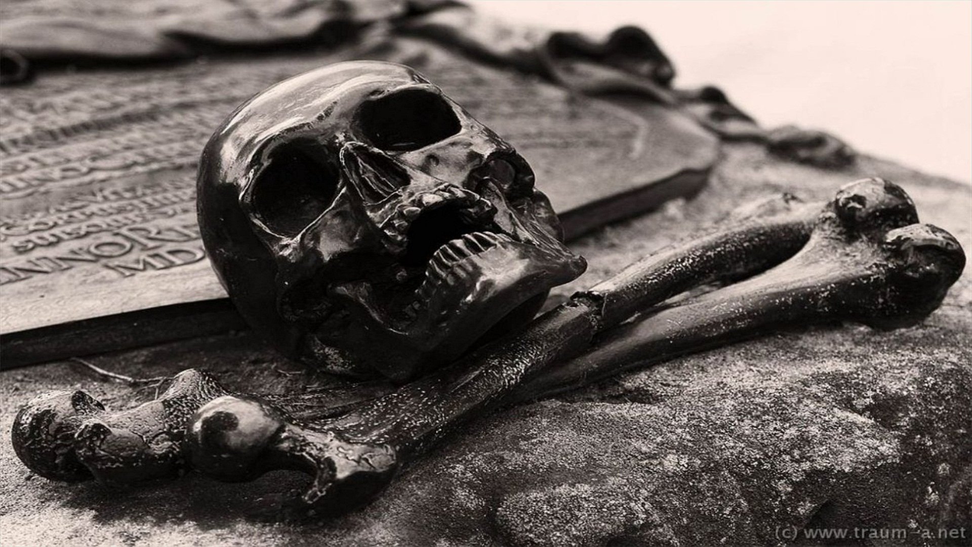 Dark-themed 4K Ultra HD PC desktop wallpaper featuring a detailed skull and bones on a textured surface, creating a striking and eerie atmosphere.