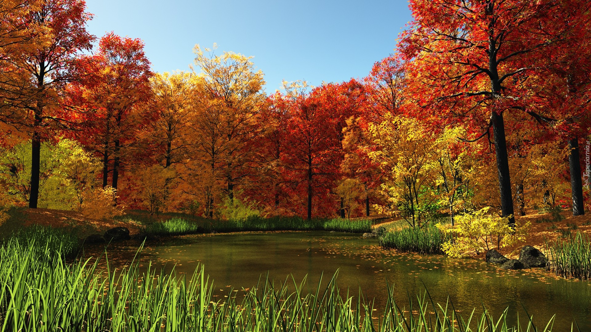 Desktop wallpaper showcasing the serene beauty of nature in the fall season.