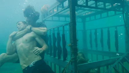 movie Shark Night HD Desktop Wallpaper | Background Image