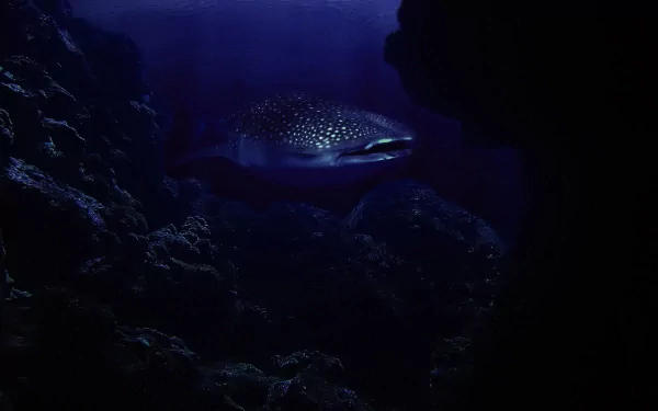HD underwater wallpaper showing a spotted whale shark swimming through deep blue sea waters surrounded by coral and marine life.