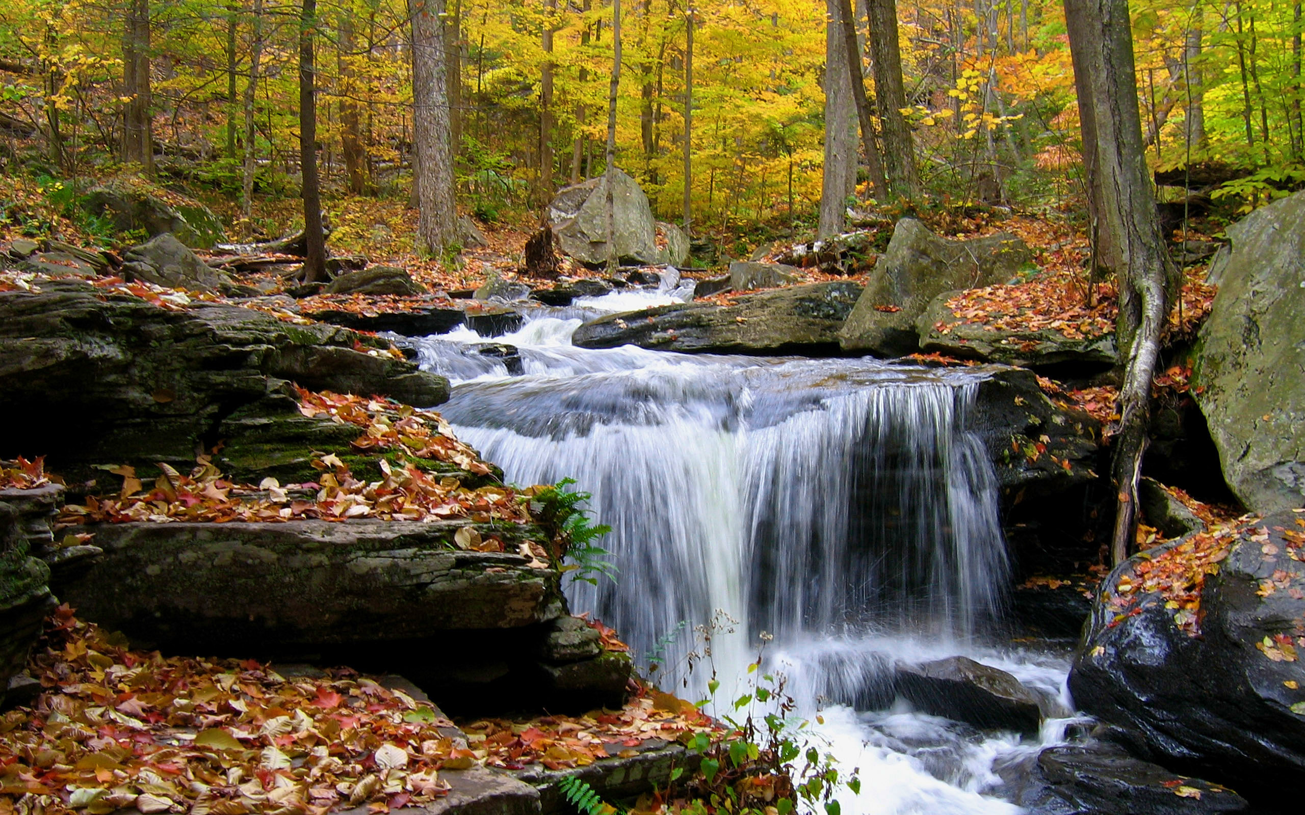 Little Waterfall Full HD Wallpaper And Background Image 2560x1600   160819 