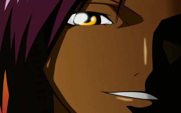 Yoruichi Shihôin Anime Bleach HD Desktop Wallpaper | Background Image