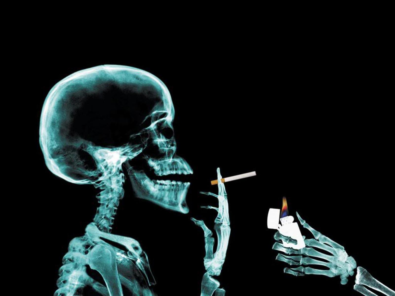 Skeleton smoking cigarette line art vector illustration 12000762 Vector Art  at Vecteezy