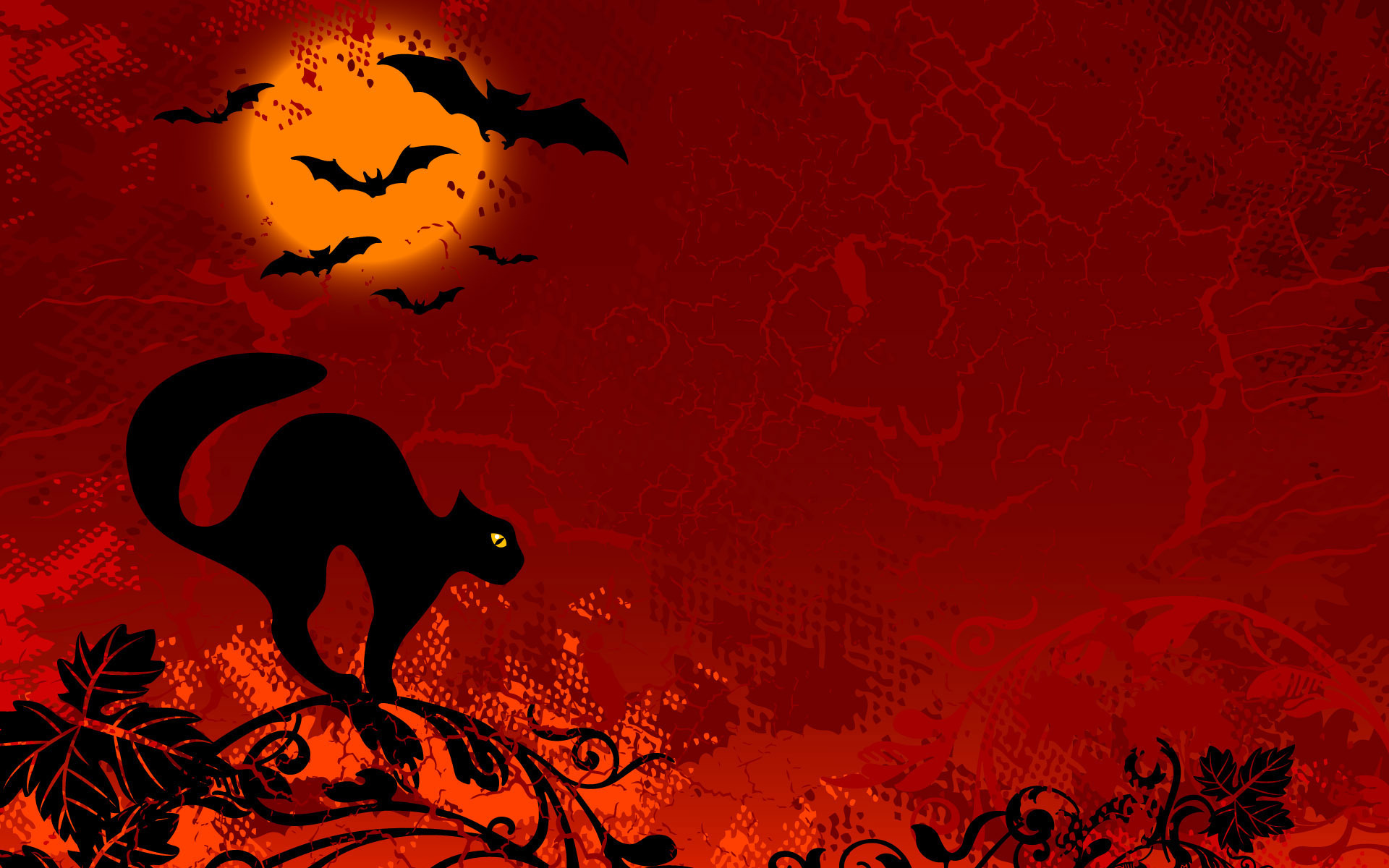 halloween cat desktop background