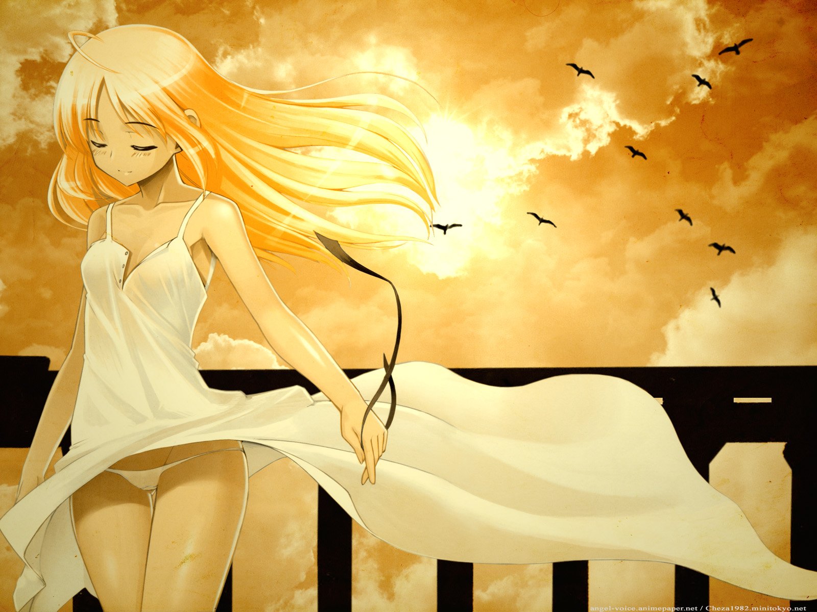 Saber (Fate/Stay Night) anime HD desktop wallpaper: blonde Saber in a flowing white dress on a balcony at a golden sunset, hair and gown billowing as birds fly across the sky.