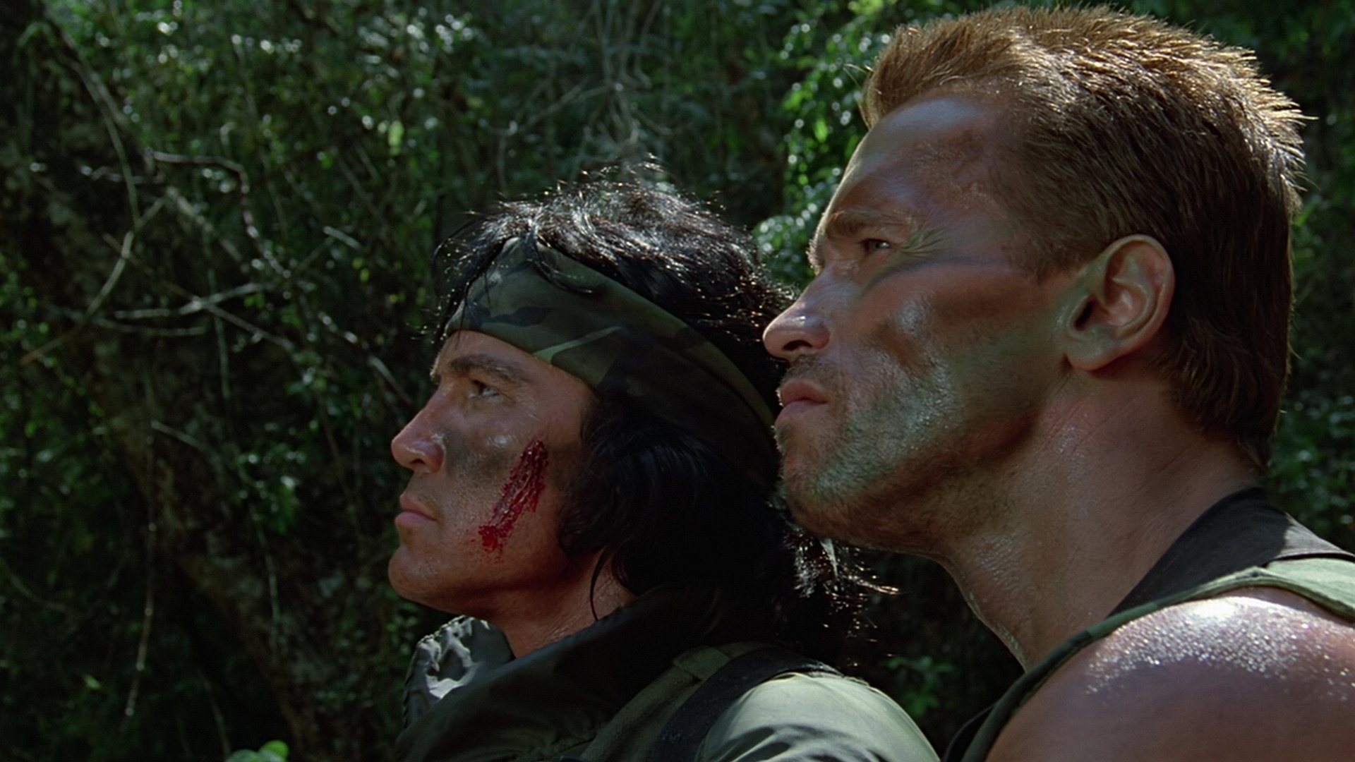 A dramatic HD wallpaper featuring Arnold Schwarzenegger in a tense moment from the movie Predator, set against a dense jungle backdrop.