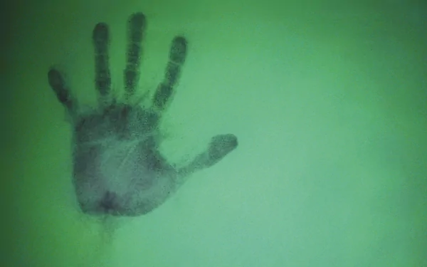 An artistic HD desktop wallpaper featuring a shadowed handprint on a vibrant green background, creating a striking visual element for your screen.