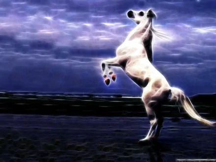  photoshop work by code b2OM