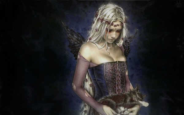 Dark Women Fantasy Angel Sad Wings Cat Kitten HD Wallpaper | Background Image