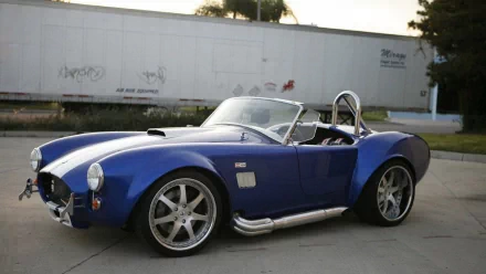 vehicle cobra HD Desktop Wallpaper | Background Image