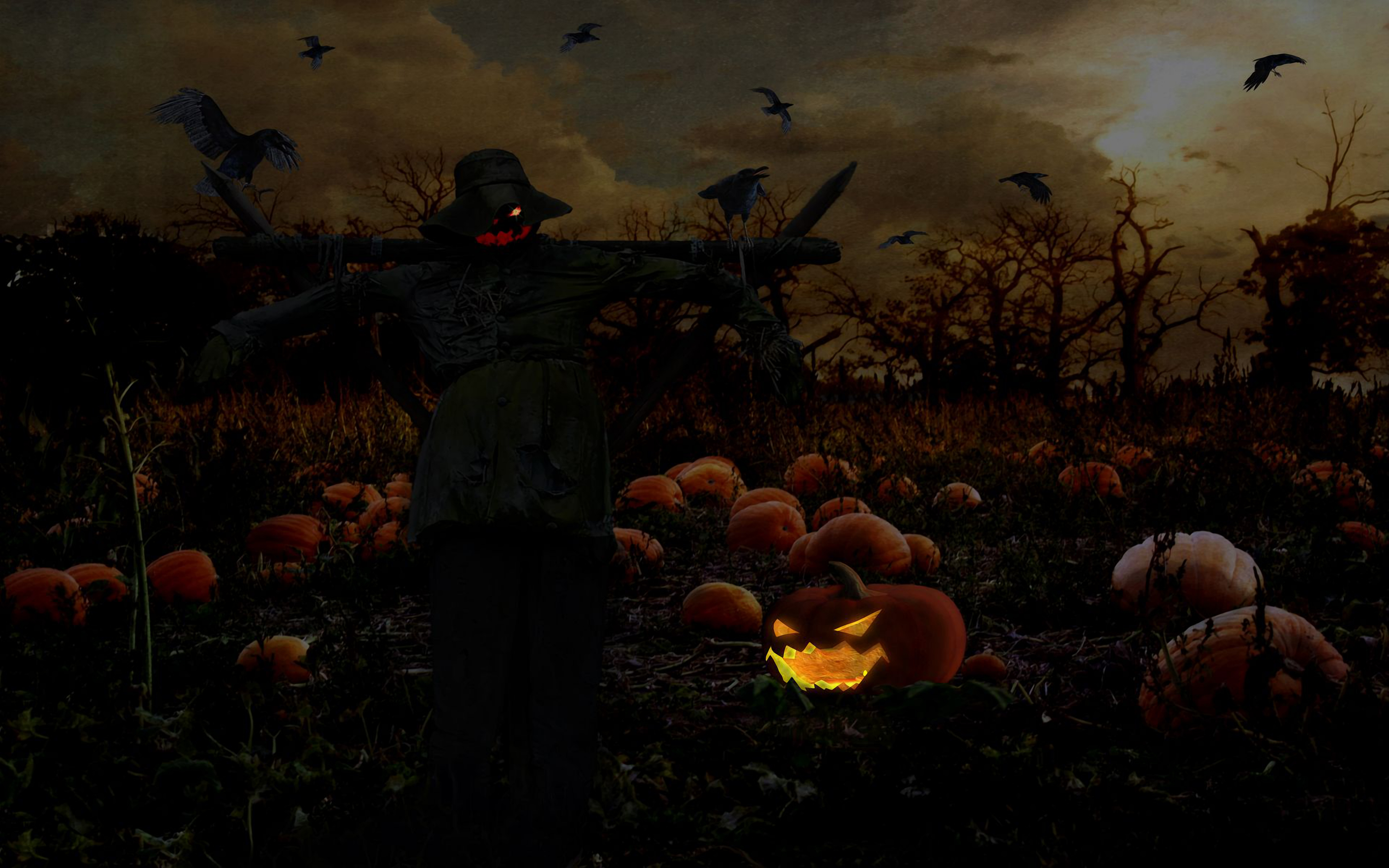 Halloween 4k Ultra HD Wallpaper | Background Image | 4000x2500