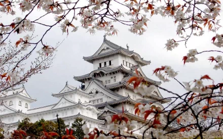 Himeji Castle in Hyogo, Japan framed by blooming sakura blossoms during spring, captured in a high-definition desktop wallpaper.