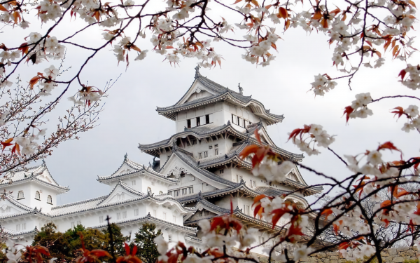 Man Made Himeji Castle Castles Japan Hyogo Spring Sakura Sakura Blossom HD Wallpaper | Background Image