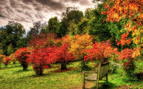 Photography Fall Bench HD Wallpaper | Background Image