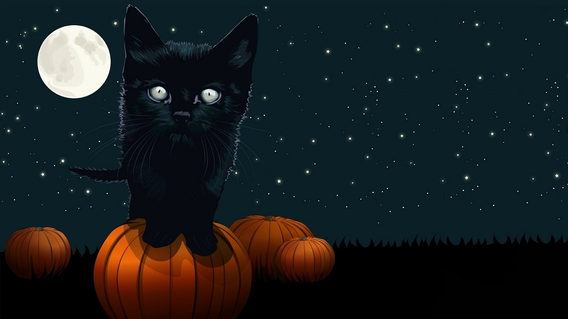 Download Pumpkin Full Moon Cat Holiday Halloween  HD Wallpaper