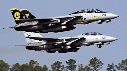 HD PC desktop wallpaper and background: two military Grumman F-14 Tomcat fighter jets flying low in formation above trees against a pale blue sky.