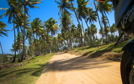 Suzuki motorcycle wheel at right on a sandy, palm-lined beach road under a bright blue sky — Republic coastal scene, HD PC desktop wallpaper background