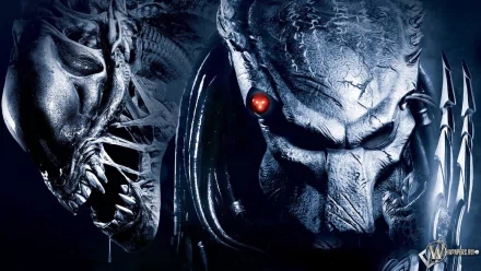 HD PC desktop wallpaper featuring close-up faces of Alien and Predator from the movie Aliens vs. Predator: Requiem with dark, intense tones.
